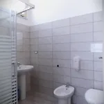 Palace 3*